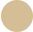 dot icon